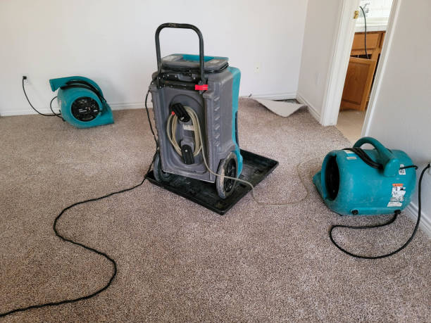 Trusted Merkel, TX Water damage restoration Experts