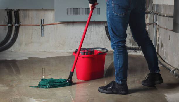 Best Ceiling water damage repair  in Merkel, TX