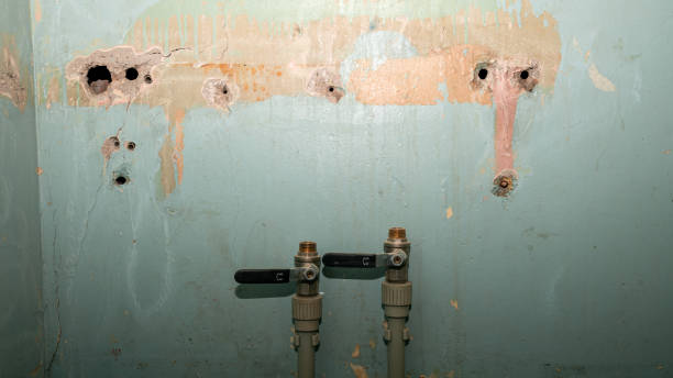 Best Carpet water damage restoration  in Merkel, TX